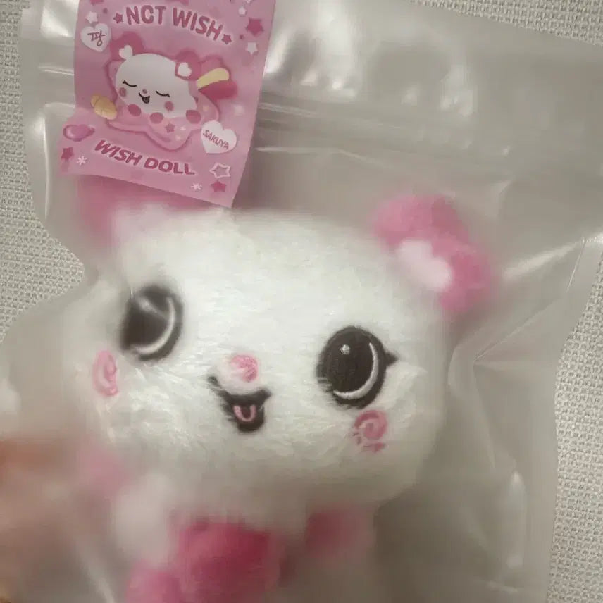 [BUNJANG] NCT WISH Wishdoll Pangyi New Product / 엔시티 위시 위시돌 팡이 새상품