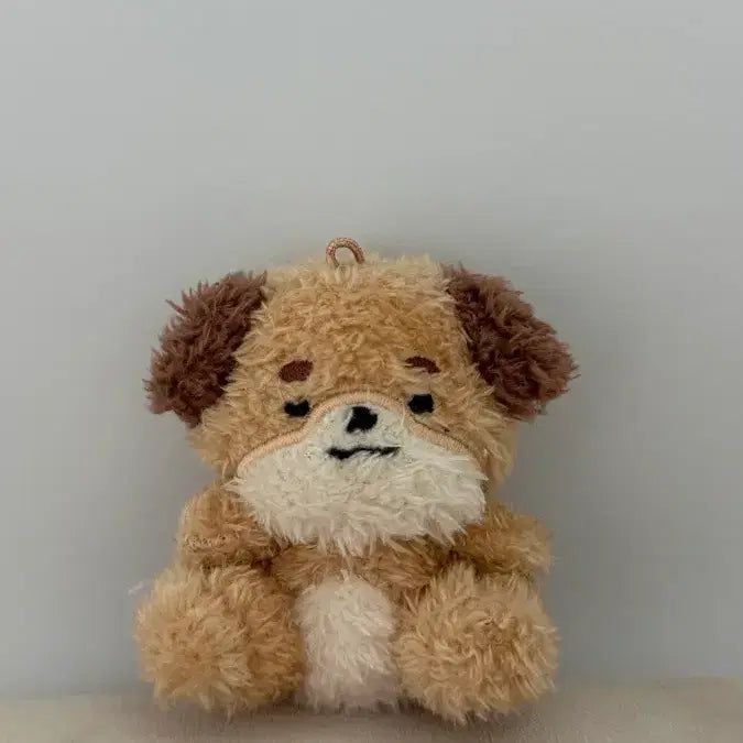 [BUNJANG] DAY6 Dennymals Petitmalz Seated Plush / 데이식스 데니멀즈 쁘띠멀즈 앉은돈이 돈이 도운