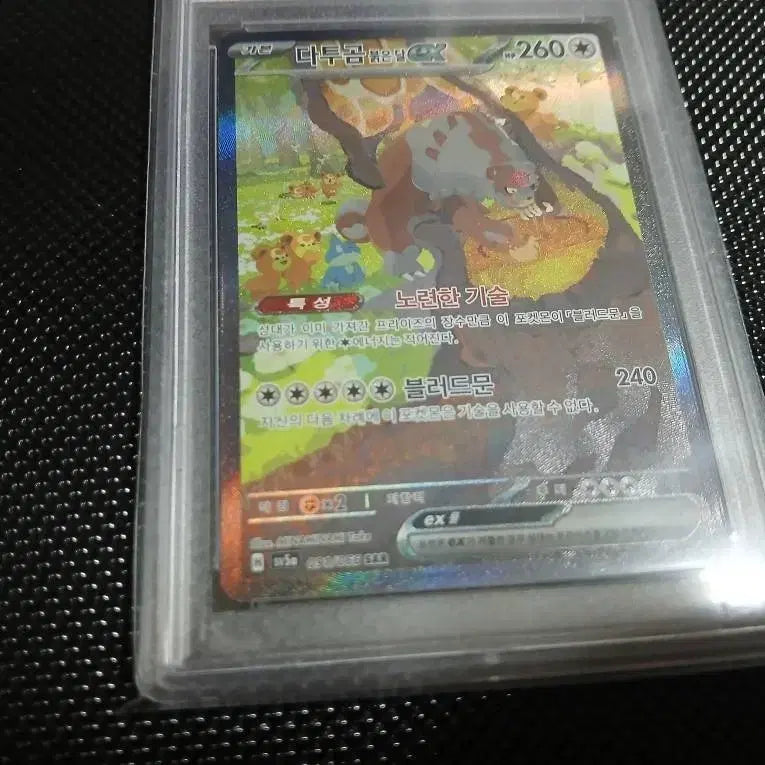 [BUNJANG] Datu Gom SAR &amp; Datu Gom Bitter Moon SAR PSA 10 Graded Cards / (psa 10) 다투곰sar / 다투곰뷹은달sar 최고등급 카드