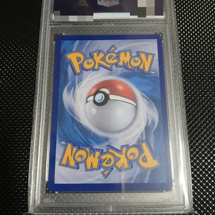 [BUNJANG] Datu Gom SAR &amp; Datu Gom Bitter Moon SAR PSA 10 Graded Cards / (psa 10) 다투곰sar / 다투곰뷹은달sar 최고등급 카드
