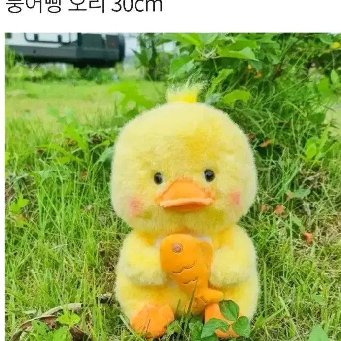 [BUNJANG] 30cm Fish-Shaped Bread Plush Toy with Totoz Duck Keyring (New) / [가격내림]붕어빵 오리 인형 30cm+토토즈 오리 키링(새상품)