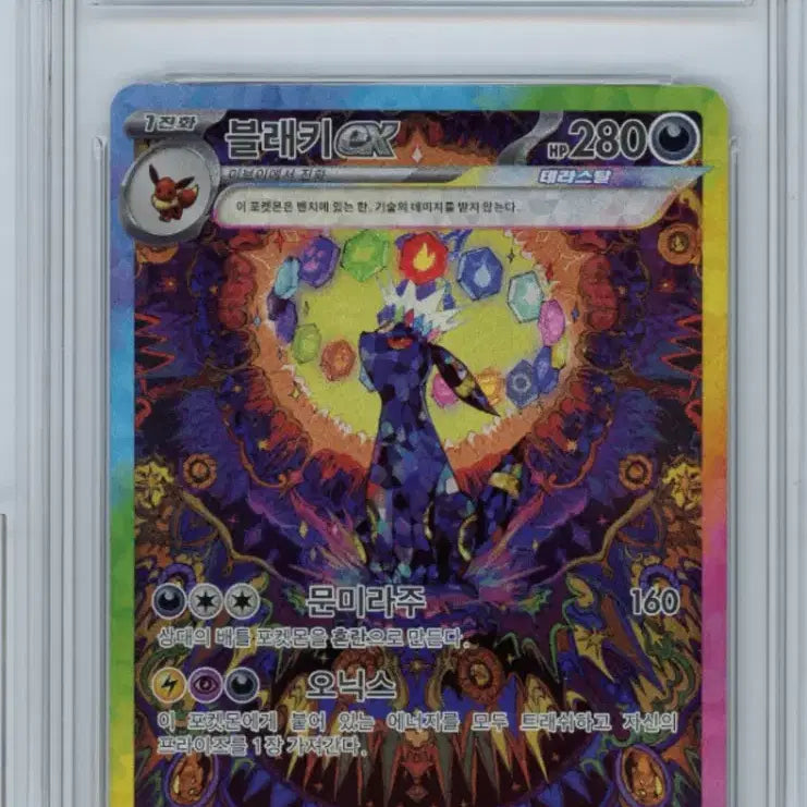 [BUNJANG] Blackki SAR BRG10 Card / 블래키sar brg10