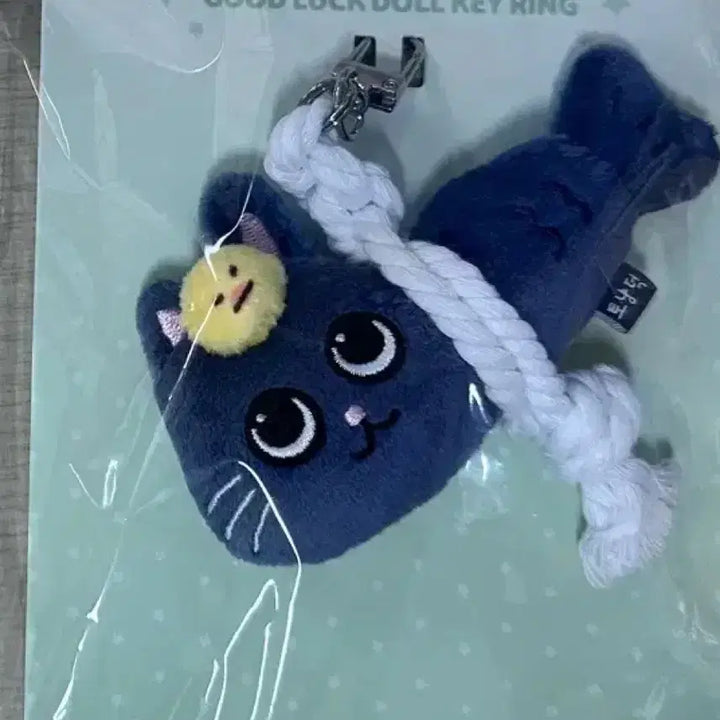 [BUNJANG] RIIZE Wonbin Lyraz Aekmakyi Cat Plush / 액막이 토냥덕  라이즈 원빈 리라즈