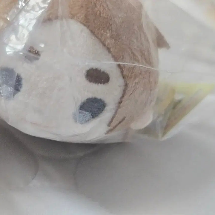 [BUNJANG] Haikyuu!! Itachiyama Komori Motoya Plush Doll (Sealed) / 하이큐 이타치야마 코모리 모토야 누이 모찌마스 인형 미개봉 양도