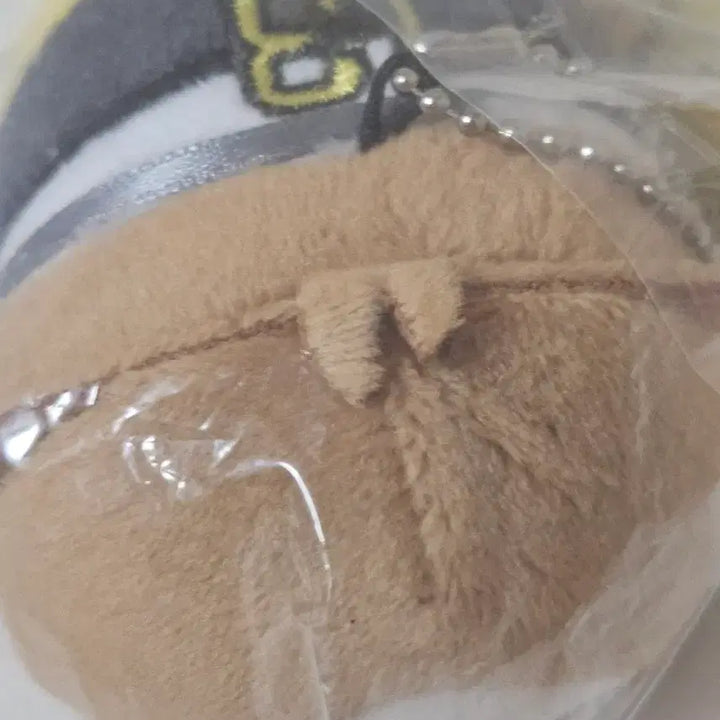 [BUNJANG] Haikyuu!! Itachiyama Komori Motoya Plush Doll (Sealed) / 하이큐 이타치야마 코모리 모토야 누이 모찌마스 인형 미개봉 양도