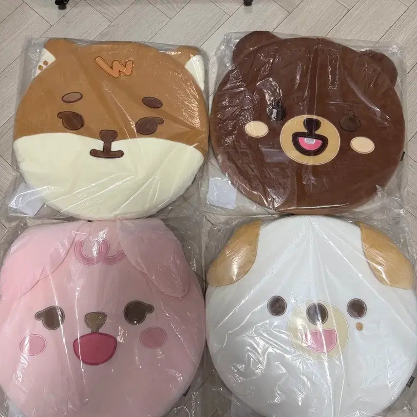 [BUNJANG] Petits Malz Bang Ke Phil Don Cushion / 쁘띠멀즈 방 케 필 돈 방석 원가양도