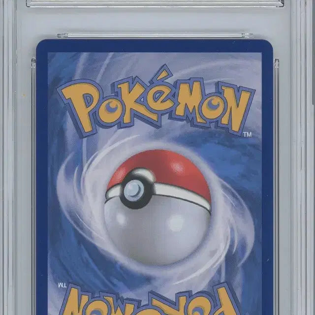 [BUNJANG] Mega Blastoise Mur BRG9 / 메가개굴닌자 mur brg9 판매합니다