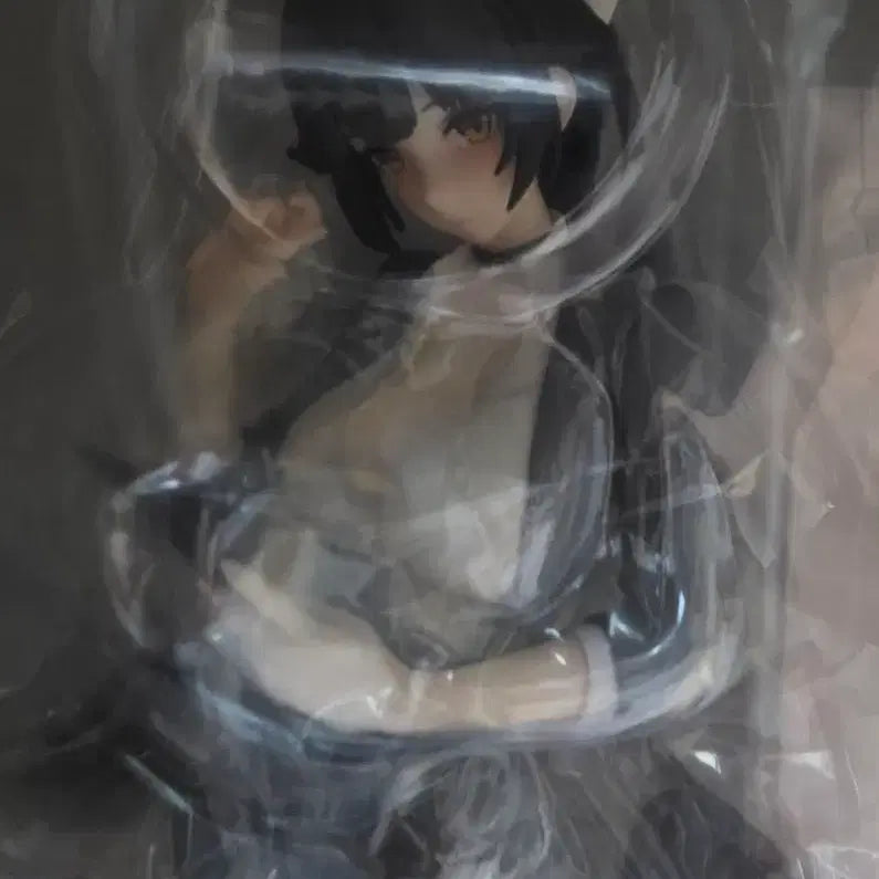 [BUNJANG] Azur Lane Takao OL Ver. Figure 1/6 Scale / 벽람항로 타카오 OL .VER 피규어 1/6 스케일