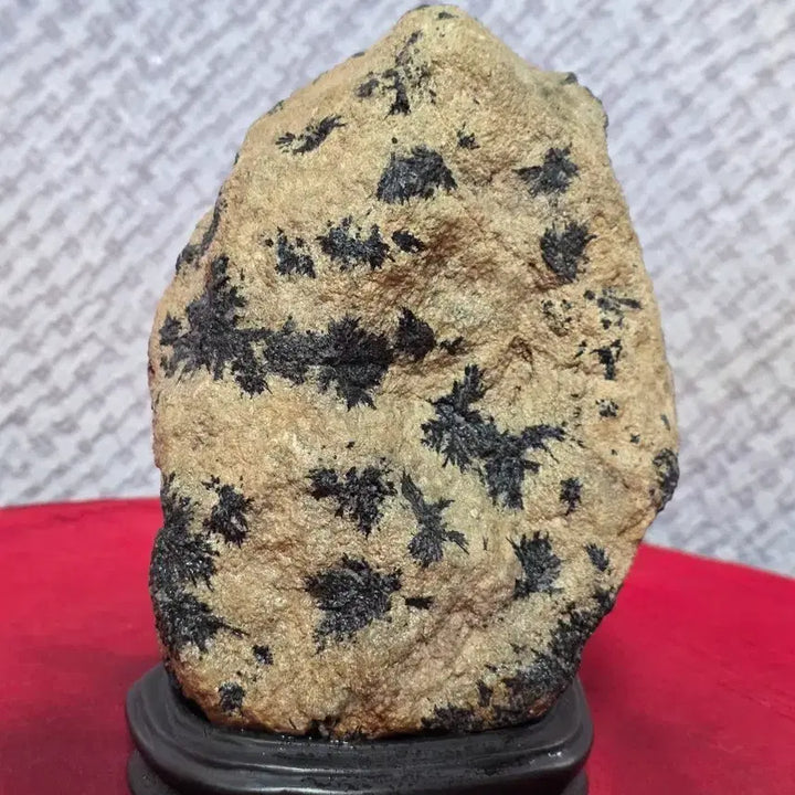 [BUNJANG] Yeongcheon Black Chrysanthemum Stone Sculpture / 영천 흑국화 / 꽃돌