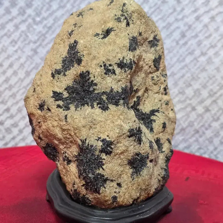 [BUNJANG] Yeongcheon Black Chrysanthemum Stone Sculpture / 영천 흑국화 / 꽃돌