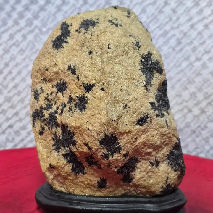 [BUNJANG] Yeongcheon Black Chrysanthemum Stone Sculpture / 영천 흑국화 / 꽃돌