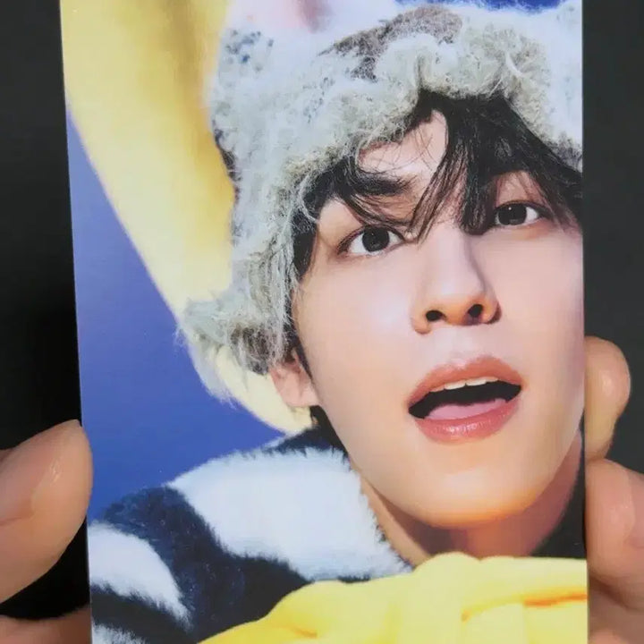[BUNJANG] DAY6 Wonpil The Present Concert Trading Card / 데이식스 원필 The Present 클콘 선물콘 트레카