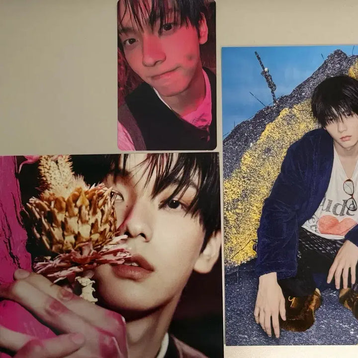 [BUNJANG] TXT Soobin Bundle Set Garden Bush Photocard Postcard / 일괄)투바투 가시덤불 수빈 포카 엽서