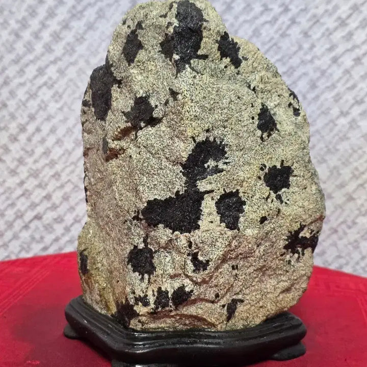 [BUNJANG] Natural Black Flower Stone Art / 국내 흑국 / 꽃돌