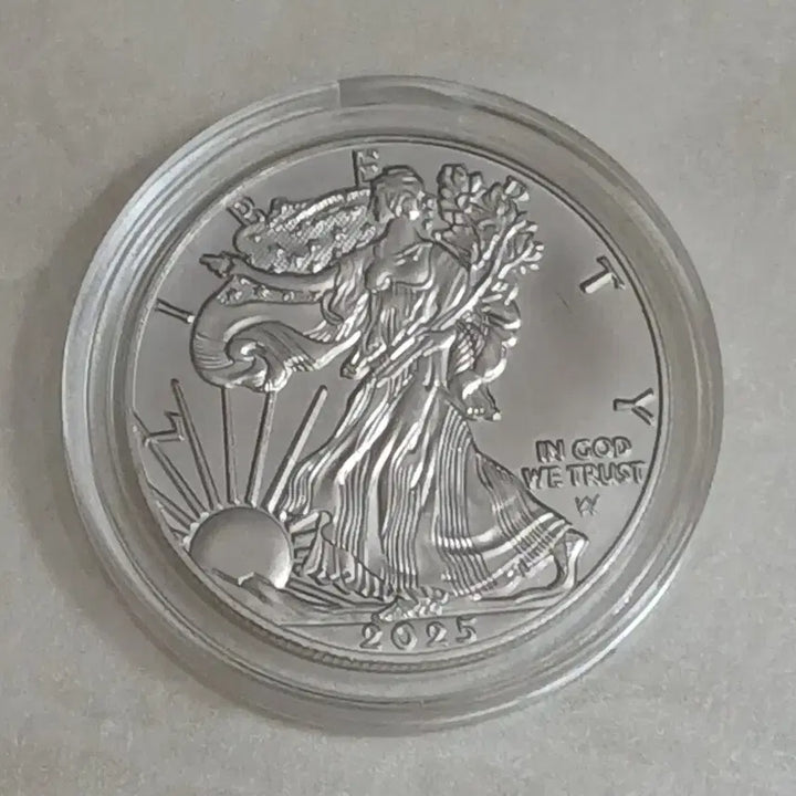 [BUNJANG] 2025 American Silver Eagle Uncirculated Coin (UNC) / 미국 2025 실버이글 완전 미사용(UNC) 은화