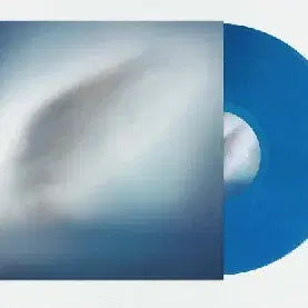 [BUNJANG] Car, the Garden - BLUE HEART Blue Marble Color LP / 카더가든 - BLUE HEART 블루 마블 컬러 LP