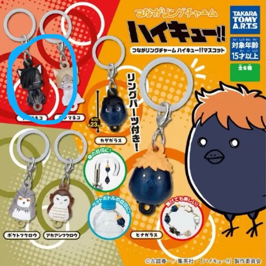 [BUNJANG] Bandai Haikyuu!! Kuroo Mezushi Gacha / 반다이 하이큐 메지루시 쿠로오 가챠 판매
