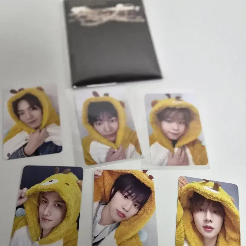 [BUNJANG] 82major Album Photocard / 82major 앨범 + 포카