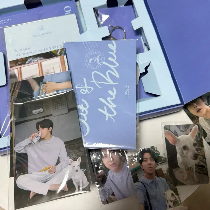 [BUNJANG] Day6 Dowoon Mundeuk Limited Edition Set (Excluding Photocard) / 데이식스 도운 문득 한정반 (물망초 제외)