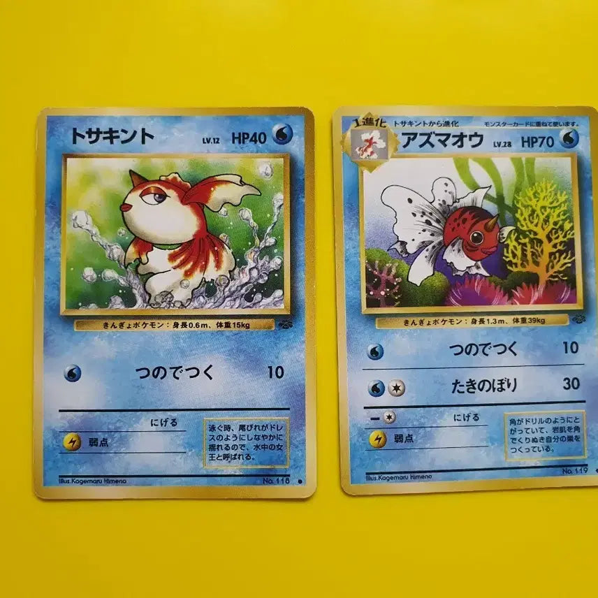 [BUNJANG] Pokemon Card 1996 Kongchi Wangkongchi 1st Edition Japanese / 포켓몬카드 1996 콘치 왕콘치 초판 일판 일본판