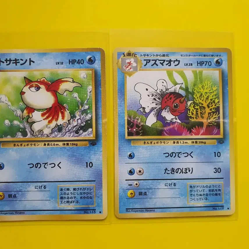 [BUNJANG] Pokemon Card 1996 Kongchi Wangkongchi 1st Edition Japanese / 포켓몬카드 1996 콘치 왕콘치 초판 일판 일본판