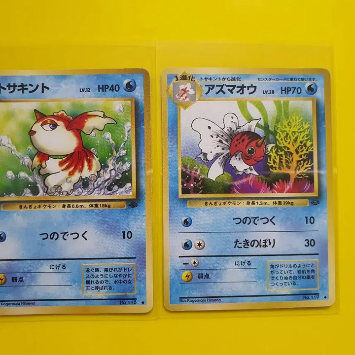 [BUNJANG] Pokemon Card 1996 Kongchi Wangkongchi 1st Edition Japanese / 포켓몬카드 1996 콘치 왕콘치 초판 일판 일본판