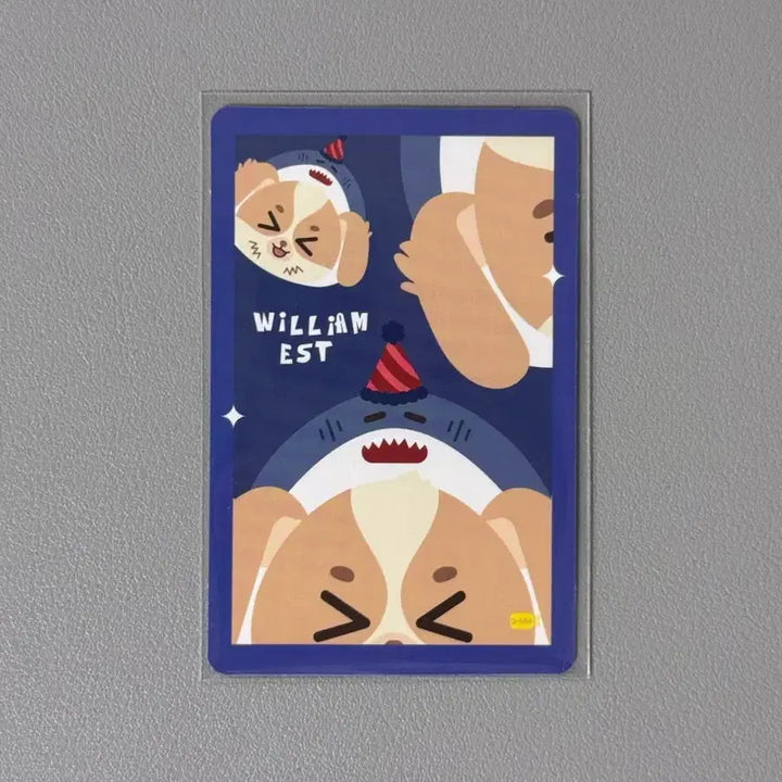 [BUNJANG] William &amp; Wesley Daily Care Bag / gmmtv 찌엠 윌엣 williamest wesley 데일리케어백