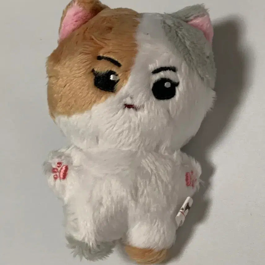 [BUNJANG] ENHYPEN Jungwon En-animals Korean Cat 10cm Plush Doll / 엔하이픈 정원10cm 솜인형 엔니멀즈 한국냥