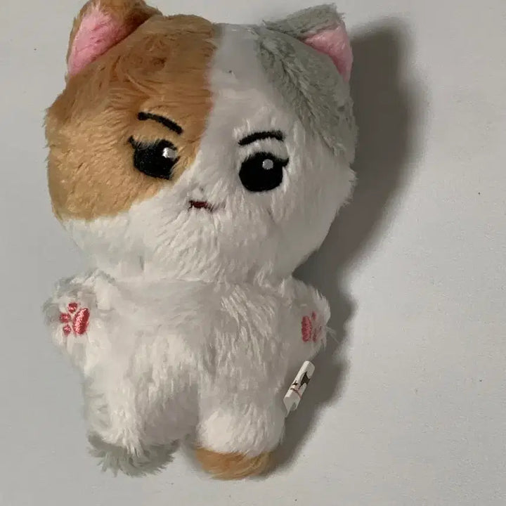 [BUNJANG] ENHYPEN Jungwon En-animals Korean Cat 10cm Plush Doll / 엔하이픈 정원10cm 솜인형 엔니멀즈 한국냥