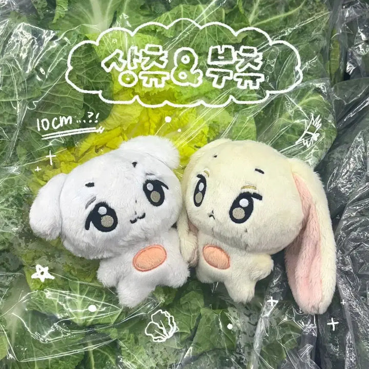 [BUNJANG] Sangchu Normal Hyun Doll Choi Ripwoo Buchyu Sealed B-Grade / 상츄 양도 알디원 정상현 인형 최립우 부츄 미개봉 B급