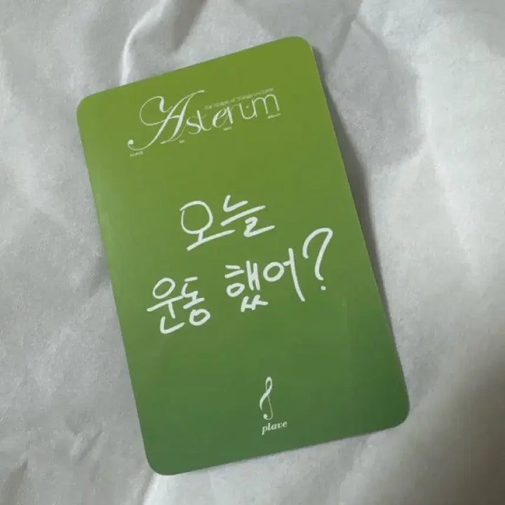 [BUNJANG] PLAVE Yu Yeoreum KtafO Lucky Draw Photocard Noah / Glasses Photocard / 플레이브 육여름 케타포 럭드 노아 / 안경 포카