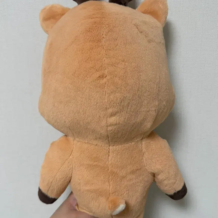 [BUNJANG] RIIZE Sungchan 40cm Plush Doll &