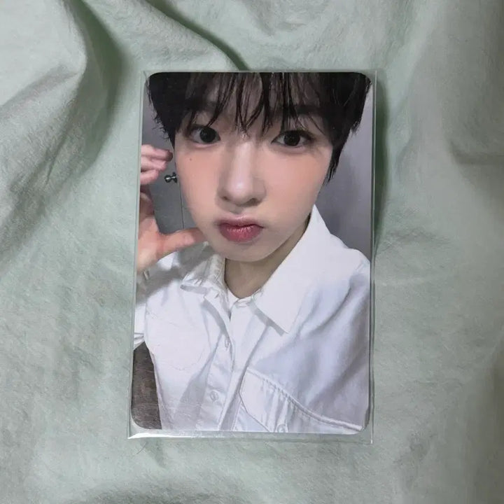[BUNJANG] NCT WISH Sakuya Songbird Photocard / 엔시티위시 사쿠야 송버드 포토카드