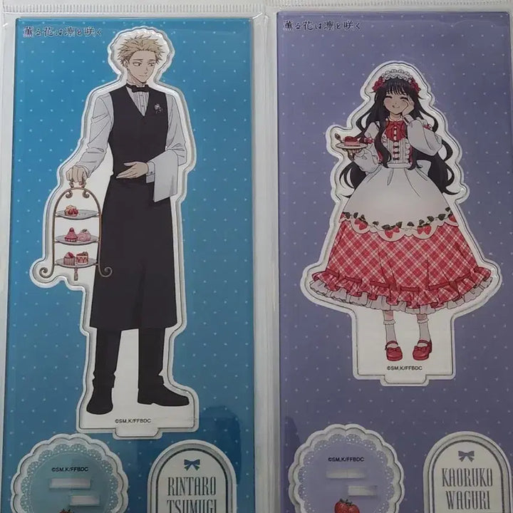 [BUNJANG] Rintaro Wuguri Acrylic Bundle / 향기로운 꽃은 늠름하게 핀다 린타로 와구리 아크릴 일괄