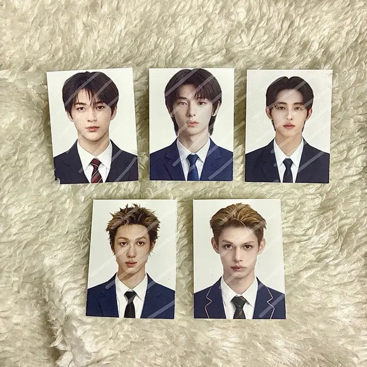 [BUNJANG] CORTIS Student ID Photo Set (Martin, Juhun, Sunghyun, Geonho, James) / (코르티스 증사) 증명사진 학생증 정장 마틴 주훈 성현 건호 제임스