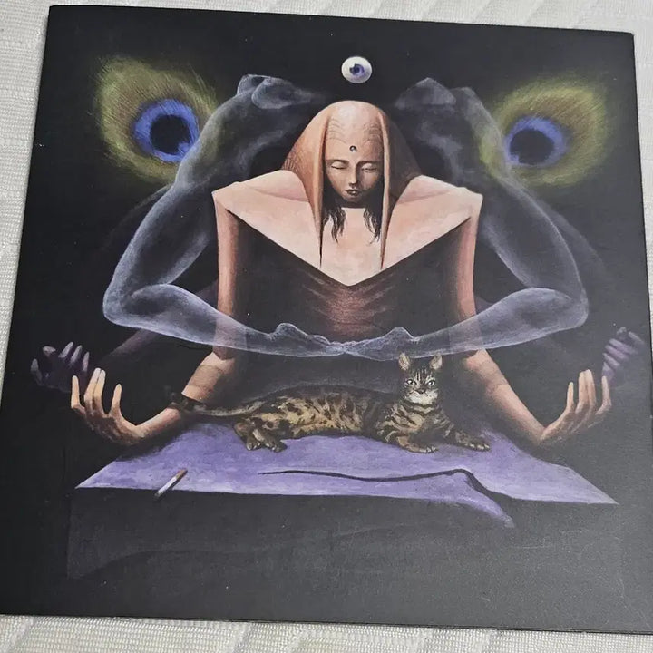 [BUNJANG] Cherngstar Highdigger CD / 챙스타(피캐시디) 하이디거 CD