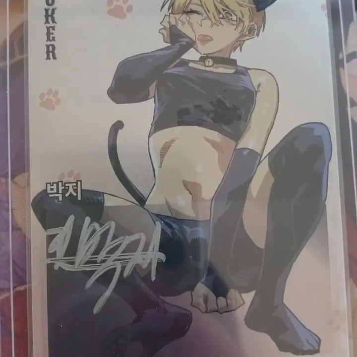 [SOLD OUT] 숄더픽 박지 싸인 카드 SSR 일러스트 카드