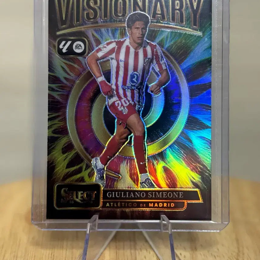 [BUNJANG] Diego Simeone Soccer Card VISIONARY Edition / 시메오네 축구카드 케이스 힛