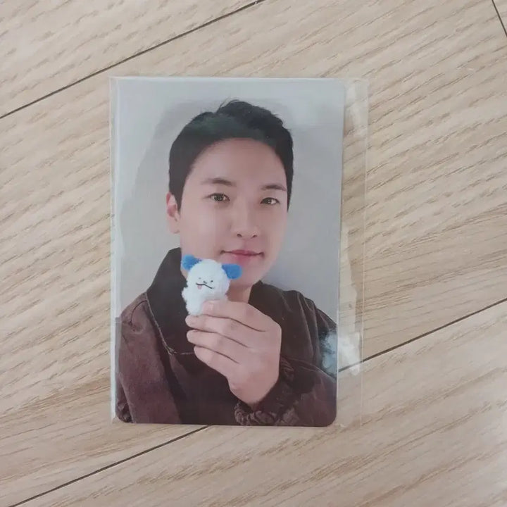 [BUNJANG] Wal Doe Doll Lucky Draw Photocard / 왈이 인형 특전 포카