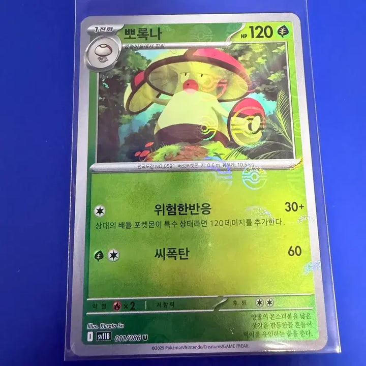 [SOLD OUT] 포켓몬카드 뽀록나 몬스터볼 몬볼