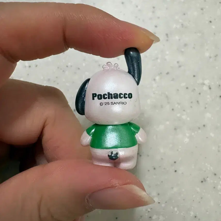 [BUNJANG] Sanrio Pochacco Glossy Figure / 산리오 포차코 광택 피규어