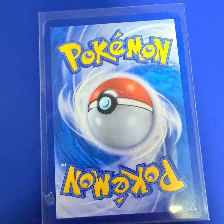 [SOLD OUT] 포켓몬카드 고디보미 몬스터볼 몬볼