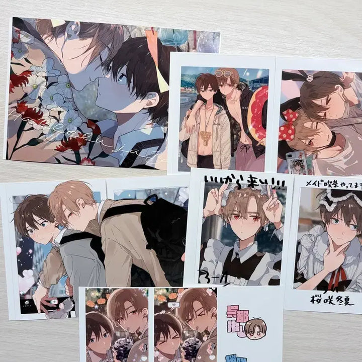 [BUNJANG] Hallelujah Baby Printing Box Bundle Set / 할렐루야 베이비 프린팅 박스 프박 10장 일괄
