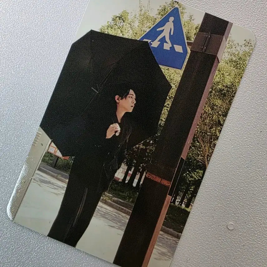 [BUNJANG] Day6 Sungjin Decade Album City Version Photocard / 데이식스 성진 포카 decade앨범 City버전