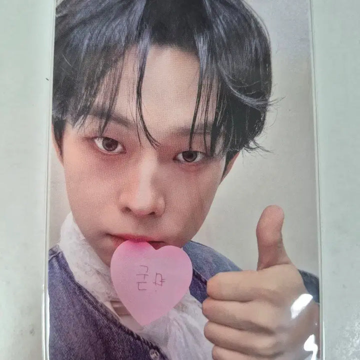 [BUNJANG] Lucy Choi Sangyeop Photocard / 루시 최상엽 포카 (굳)