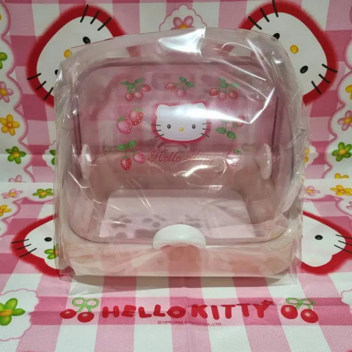 [BUNJANG] Sanrio Hello Kitty Strawberry Canister Storage Organizer Rare Vintage / 고전 키티 딸기 캐니스터 보관함 수납함 문구 희귀품 빈티지
