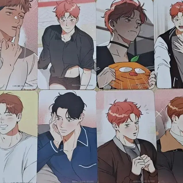 [BUNJANG] MoFun Myungtae Saekki Dry It Photocard / 모펀 명태새끼 말려버려! 포카 방포 방문 포토카드 판매양도