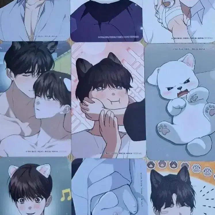 [BUNJANG] KangJeeNah KangJeeMah Visit Photocard / 모펀 강아지는 건드리지마라 강건마 방문포카 방포 포토카드 판매양도