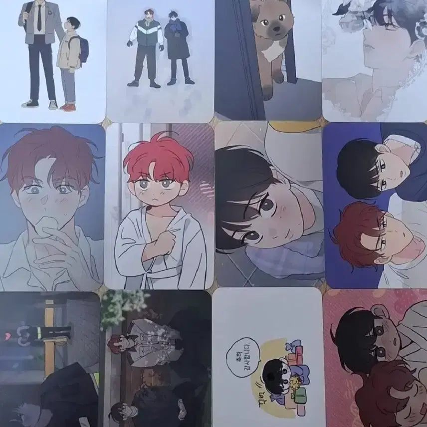 [BUNJANG] TOONIQUE Dream POB Photocard / 투니크 꿈자리가 이상한데요 꿈자리 방문 포카 방포 포토카드 판매양도