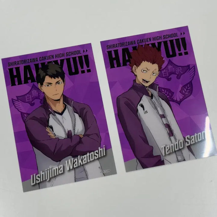 [BUNJANG] Haikyuu!! Daizo Clear Card Shiratorizawa Set - Ushijima Wakatoshi, Tendo Satori / 하이큐 다이소 클리어카드 시라토리자와 세트 우시지마 와카토시 텐도 사토리